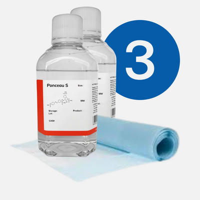 Membrane Transfer