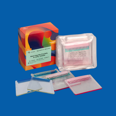 Precast Protein Gels