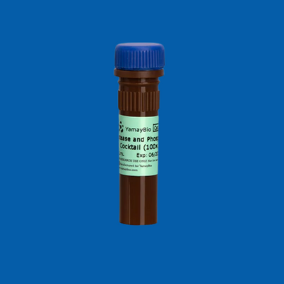 Protease &amp; Phosphatase Inhibitors