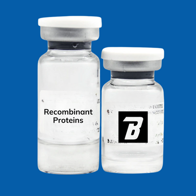 Recombinant Proteins