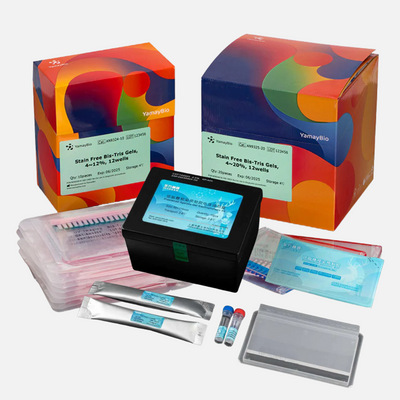 Gel Electrophoresis