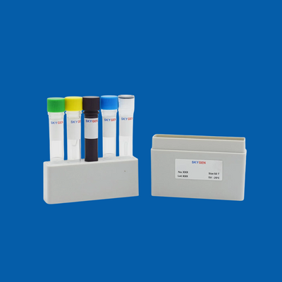 Custom Solutions