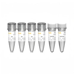 Fast-Pace DNA Cyclization Kit for MGI-13341ES