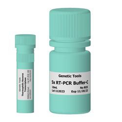 Thermophilic Reverse Transcriptase-Genetic Tools - Biofargo - 