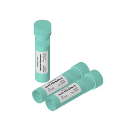 Taq-Probe Polymerase-Genetic Tools - Biofargo - 