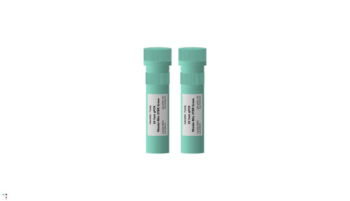 2X Fast qPCR Master Mix SYBR Green-Genetic Tools - Biofargo - 
