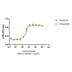Recombinant Human NRG1-β1