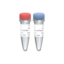 OnePot Pro DNA Fragmentation Module (end repair and dA-tailing plus)-12619ES