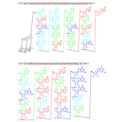 Olpasiran-First In Class-Cholesterol Reducing