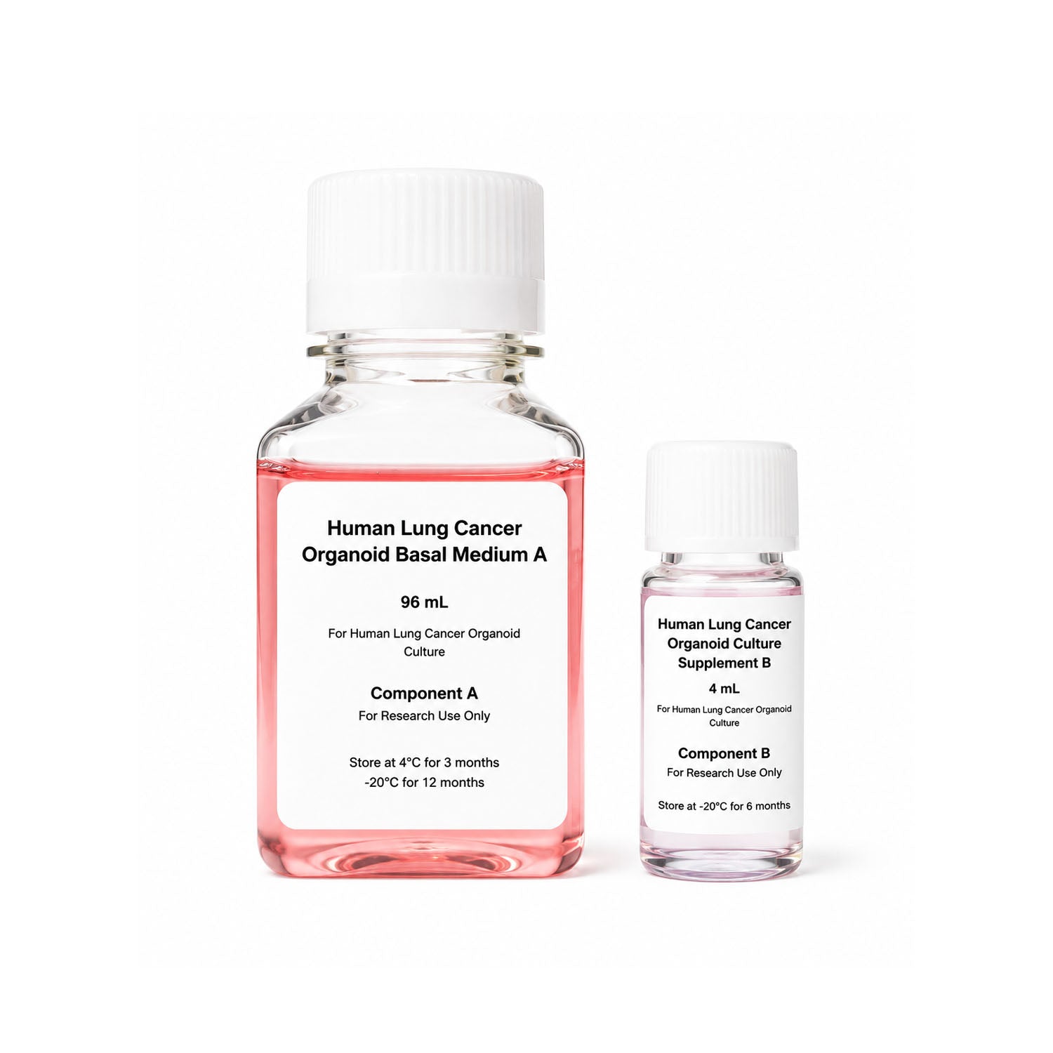 XR Human Lung Cancer Organoid Culture Kit for patient-derived lung cancer organoid culture and 3D tumor model research