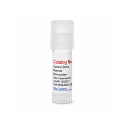 Canine Bone Marrow Monocytes