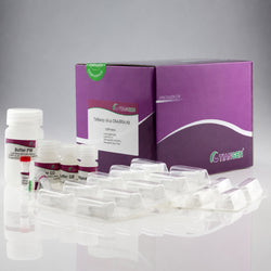TIANamp Virus DNA/RNA Kit Biofargo