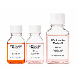 XR iPSC-Derived iMSC Differentiation Kit with iMSC Induction Media A, B, and C