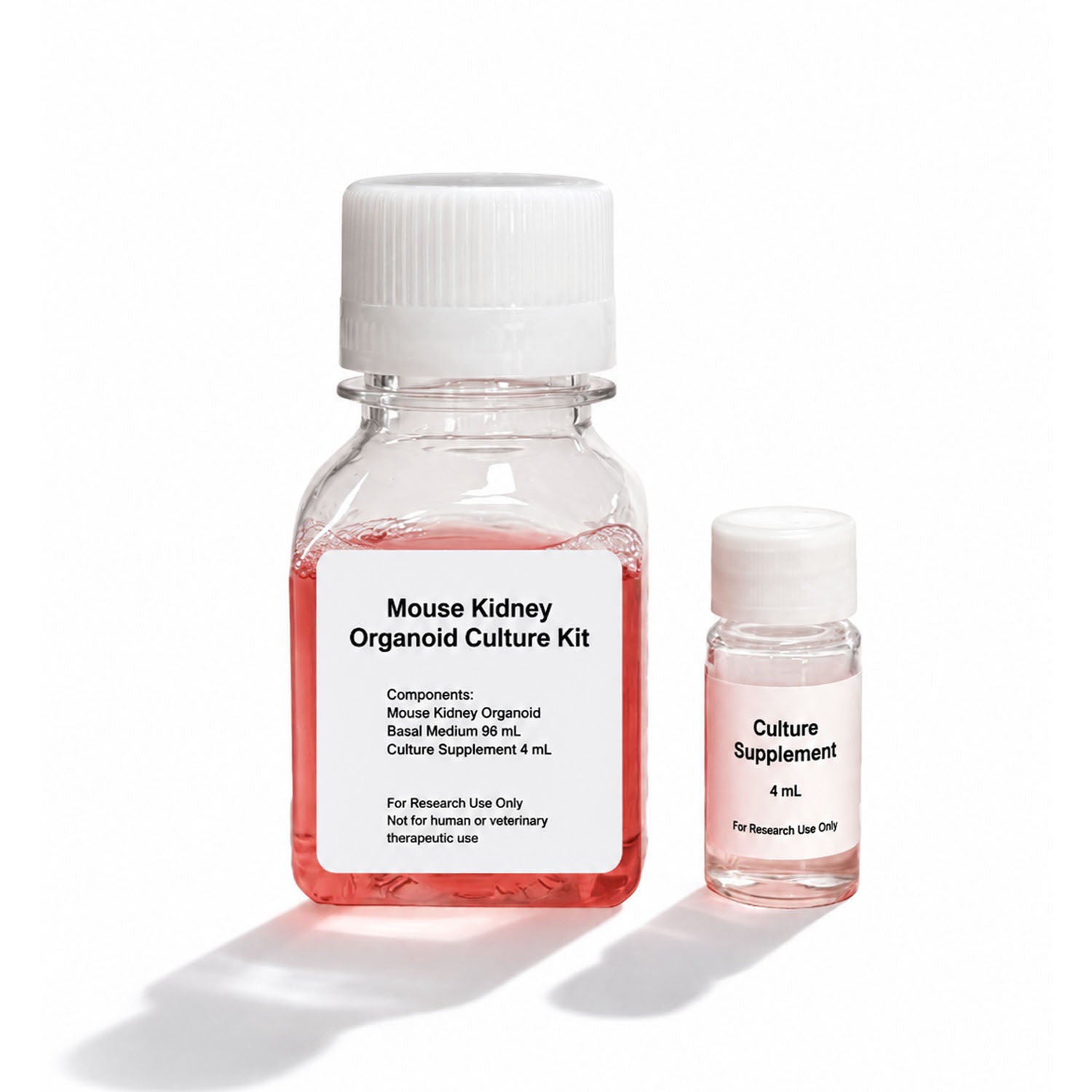 XR Mouse Kidney Organoid Culture Kit serum-free renal organoid medium