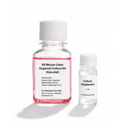 XR Mouse Colon Organoid Culture Kit serum-free mouse intestinal organoid culture medium