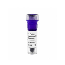 5X Protein Loading Buffer (Reducing) for SDS-PAGE protein sample preparation
