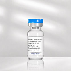 Recombinant Human Laminin-511 E8 Protein Biofargo