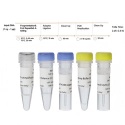OnePot Pro DNA Library Prep Kit V4 (Enzymatic)-12972ES