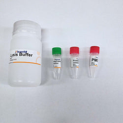 Tissue or Cell Total Protein Extraction