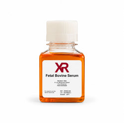 XR FBS qualified fetal bovine serum bottle for mammalian cell culture and primary cell culture applications