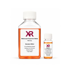 XR Melanocyte Expansion Medium & MEGS-2 PMA-free human melanocyte growth medium for primary melanocyte culture