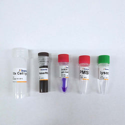 Bacterial Protein Extraction Kit