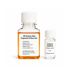 XR Human Skin Organoid Culture Kit serum-free human skin organoid culture medium