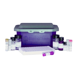 Cas12 (LbCpf1, GST) Kit