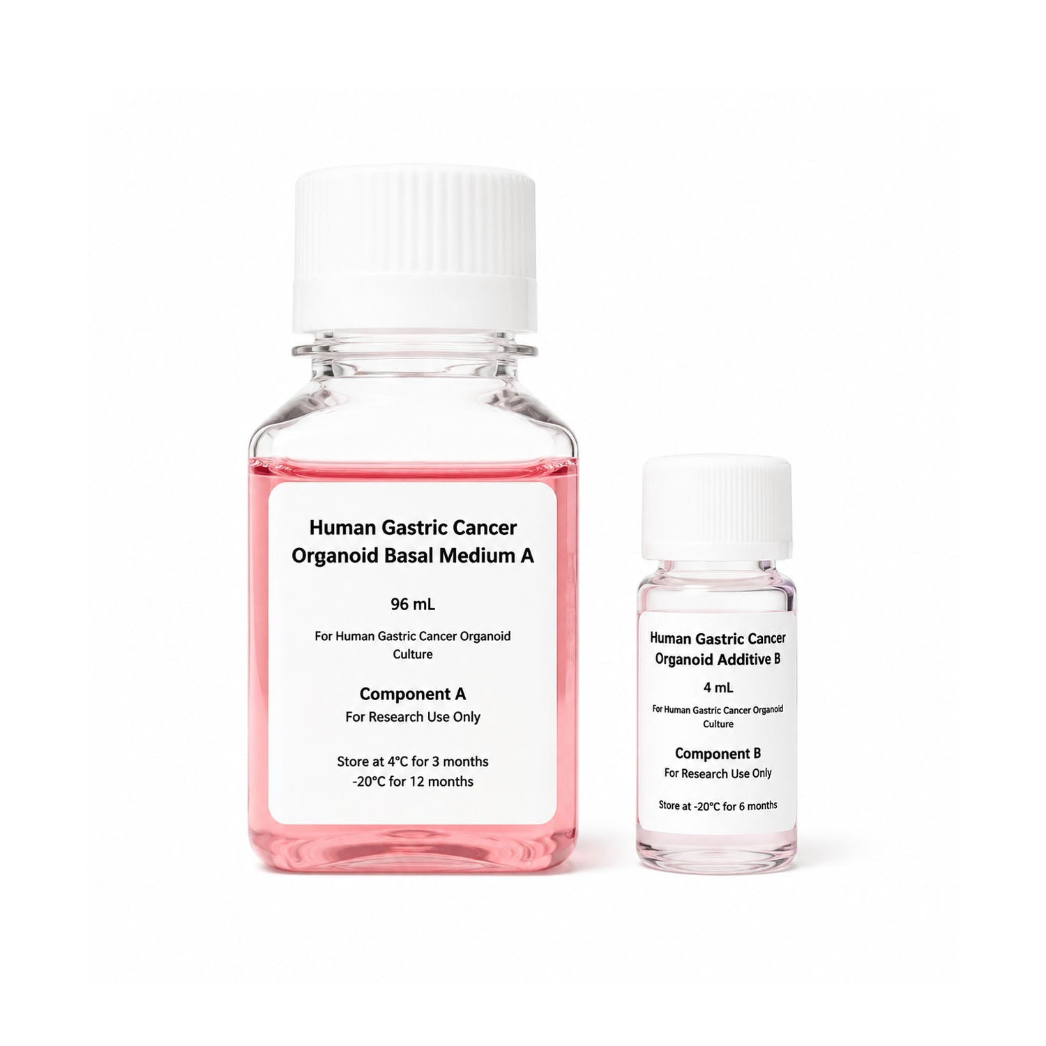 XR Human Gastric Cancer Organoid Culture Kit serum-free gastric cancer organoid culture medium