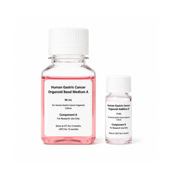 XR Human Gastric Cancer Organoid Culture Kit serum-free gastric cancer organoid culture medium