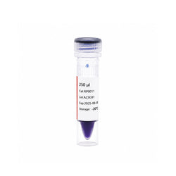 Tri-Color Prestained Protein Marker 10–180 kDa for SDS-PAGE and Western Blot