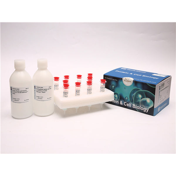 Ni-NTA 6FF Sefinose Resin Kit | High-Selectivity His-Tagged Protein ...