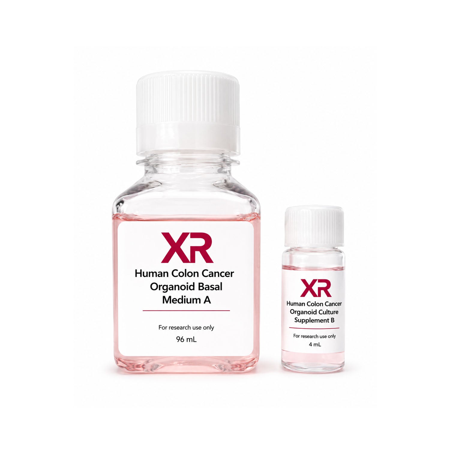 XR Human Colon Cancer Organoid Culture Kit with basal medium A and culture supplement B