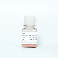 Recombinant Human Holo-Transferrin (HOLO)
