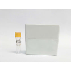 HRP-conjugated Goat Anti-Mouse IgG