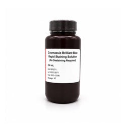 Coomassie Brilliant Blue Rapid Staining Solution 250 mL Protein Gel Stain