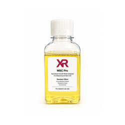 XR MSC Pro human mesenchymal stem cell low serum complete medium bottle for MSC expansion culture