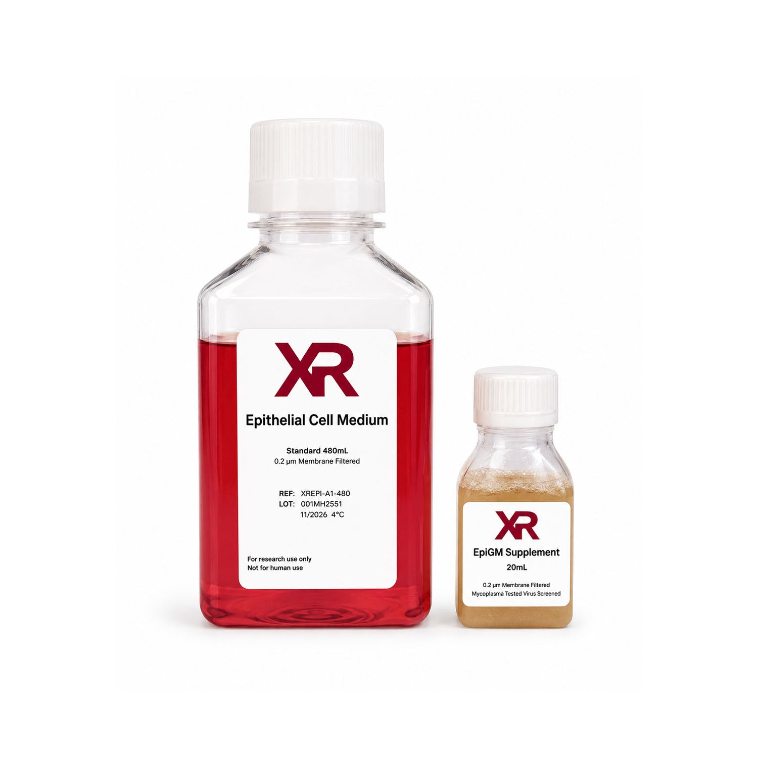 XR primary epithelial cell growth medium kit with Epi basal medium and epithelial cell growth supplement