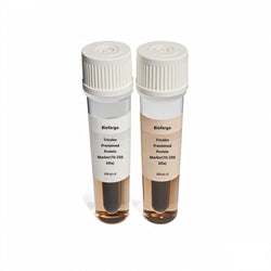 Tricolor Prestained Protein Marker(10-250 kDa) - Biofargo - Biofargo - 