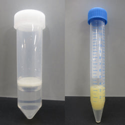 15 mL and 50 mL lymphocyte separation tubes with porous barriers for PBMC isolation before and after centrifugation.