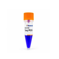 2X Taq PCR Master Mix (with Dye)