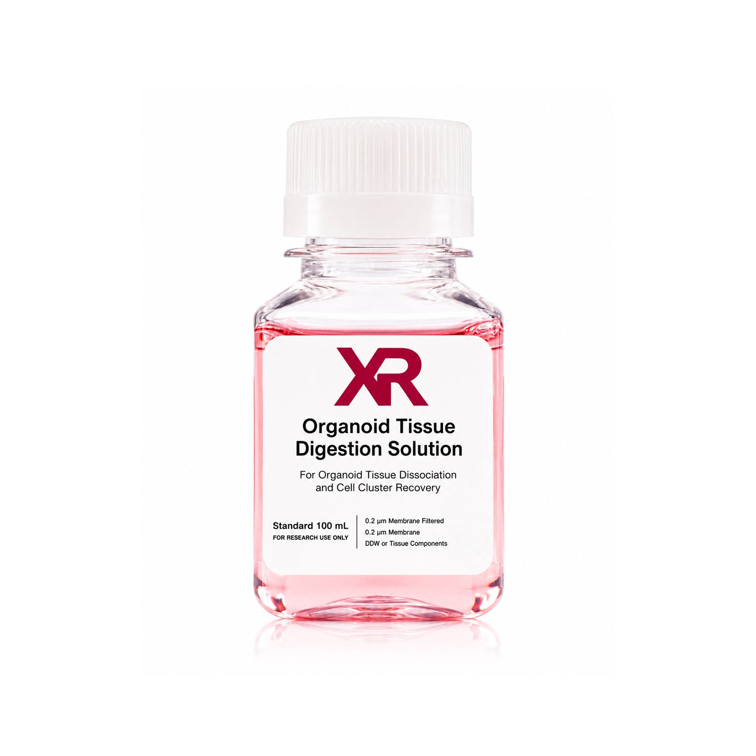 XR Organoid Tissue Digestion Working Solution for gentle organoid tissue dissociation and organoid sample preparation