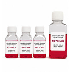XR cerebral organoid differentiation kit with four stage-specific media