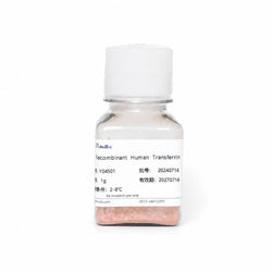 Recombinant Human Holo-Transferrin (HOLO)