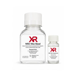 XR MSC Max human mesenchymal stem cell serum-free culture kit with basal medium and supplement