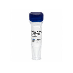 Recombinant Human PLRP2 Protein C-6His pancreatic lipase-related protein 2 recombinant protein