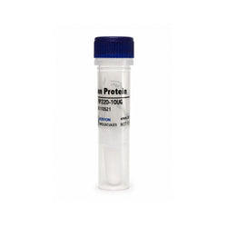 Recombinant Mouse LRP2 Protein Tag Free