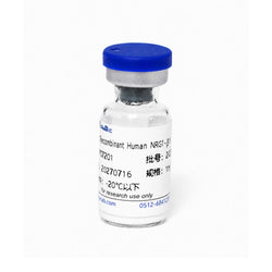 Recombinant Human NRG1-β1