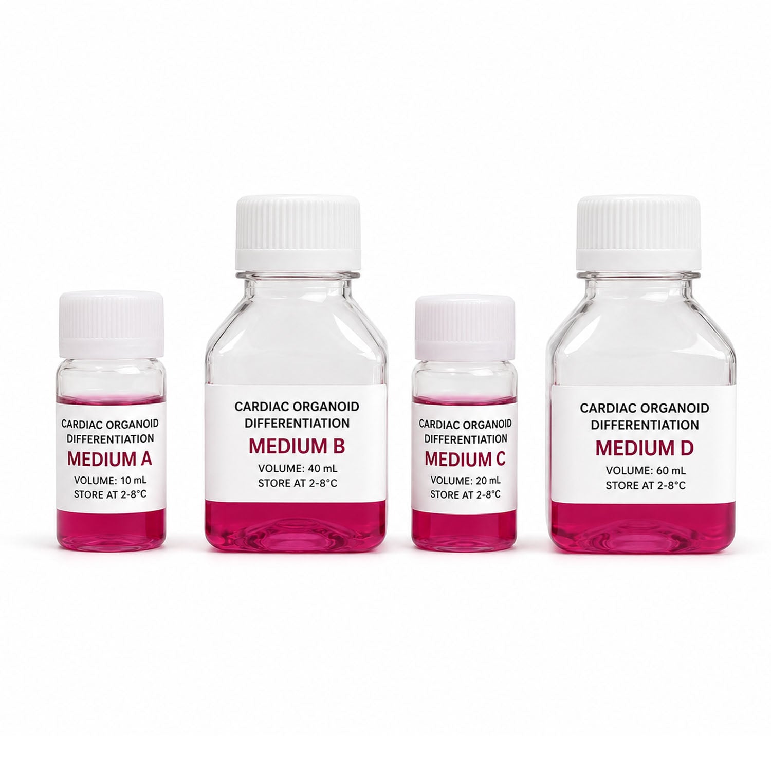 XR Cardiac Organoid Differentiation Kit with four staged media for human iPSC cardiac organoid culture
