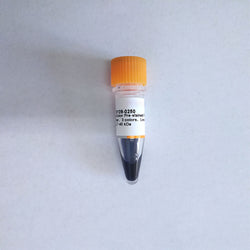 TureColor Pre-stained Protein Marker,3 colors,Low Range II,2.7~40 kDa